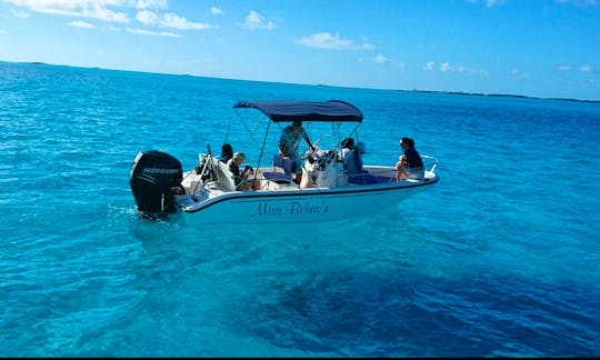Private Boat Adventures on Staniel Cay with the Boston Whaler 180 Dauntless with Bimini Top Center Console