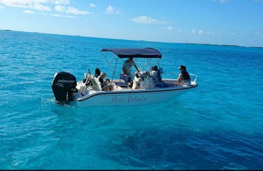 Private Boat Adventures on Staniel Cay with the Boston Whaler 180 Dauntless with Bimini Top Center Console