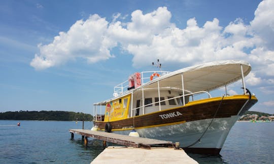 Private Boat Excursion for up to 46 passengers in Rovinj