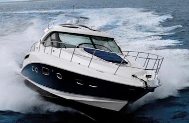 Sea Ray Sundancer 470 Motor Yacht for NYC Manhattan - Long Island - Hamptons!