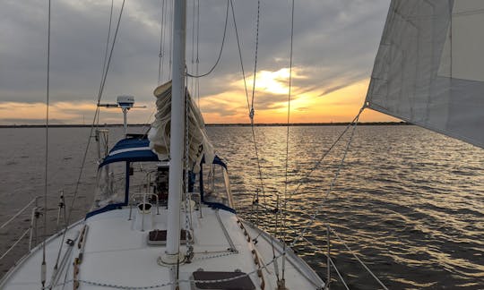  Come Play and Sail Away Barnegat Bay!