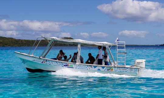 Eco Shark and Ray, Coral Garden Snorkel Safari