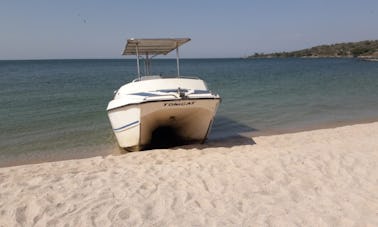 Tomcat en alquiler en el condado de Homa Bay, Kenia