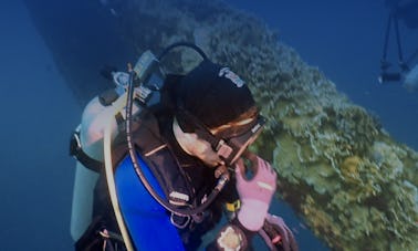 Cours PADI Advanced Open Water Diver avec un instructeur expérimenté et dévoué !