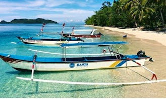 Island Boat Tour for 8 People on Pagang Island in Indonesia!