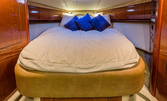 🏝Tours for the Paradisiacal 45' Sea Ray Sundancer Motor Yacht!!