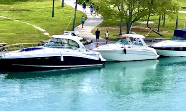 🏝 Excursions à bord du yacht à moteur paradisiaque Sea Ray Sundancer de 45 pieds !