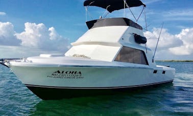 Charter 31' Bertram Sportfishing Yacht for up to 6 pax