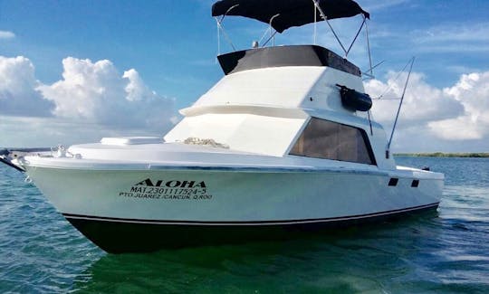 Charter 31' Bertram Sportfishing Yacht for up to 6 pax