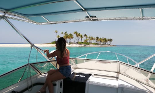 35ft Contender Express Snorkel/Beaching Charter in Nassau, Bahamas