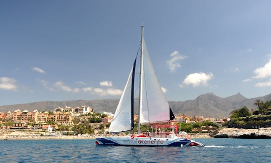 Eco catamaran to see and listen whales in Tenerife