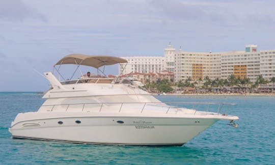 Private yacht 46ft Cancun, up to 15 pax