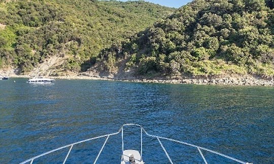 Charter the Wellcraft Portofino 43 Motor Yacht in Agropoli, Campania