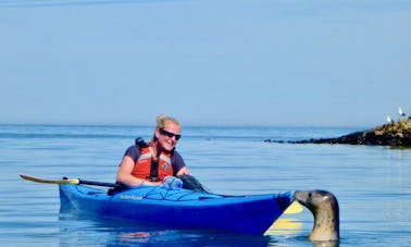 L'excursion guidée privée d'une demi-journée en kayak la plus populaire de Devons !