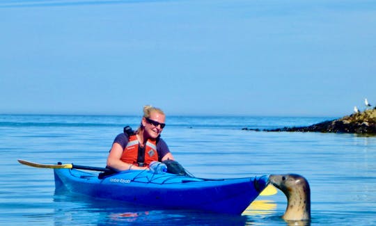The most popular Private Half-day Guided Kayak Trip in Devons!