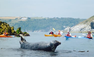 Piragüismo de mar en Dartmouth (medio día para adultos)