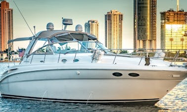 42' Sea Ray Sundancer Motor Yacht Rental in North Miami, Florida