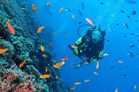 Diving and freediving in Panglao, Bohol
