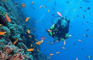 Diving and freediving in Panglao, Bohol