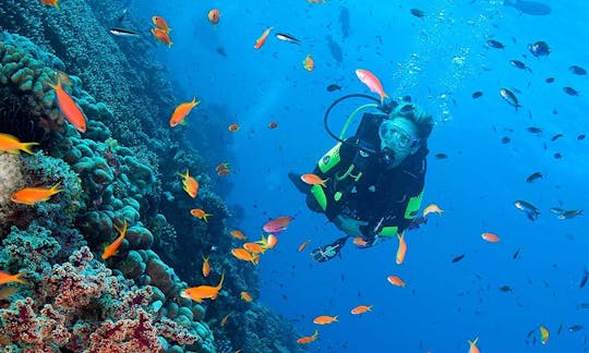 Diving and freediving in Panglao, Bohol