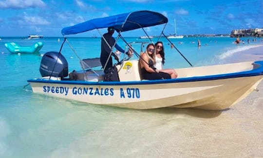 Book the Center Console Speedboat with Captain Included in Noord, Aruba