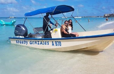 Book the Center Console Speedboat with Captain Included in Noord, Aruba