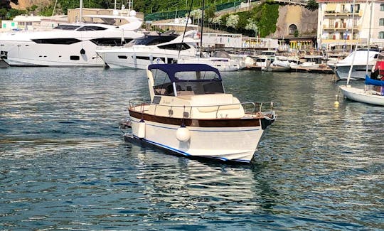 Boat Tour for 10 in Positano