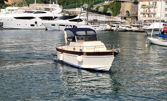 Passeio de barco para 10 pessoas em Positano