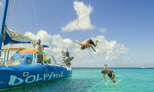 Croisières privées en catamaran « Dolphin » à Noord, Aruba