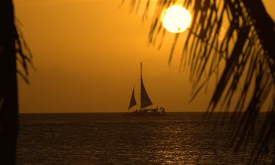 Cruceros privados en catamarán «Dolphin» en Noord, Aruba