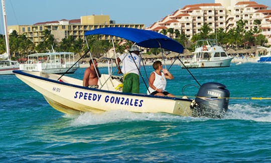 Book a Private Boat Ride Including driver/guide in Noord, Aruba