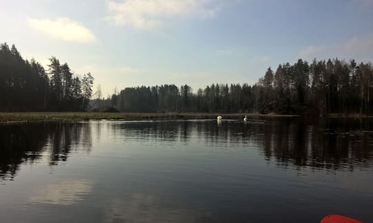 Full Day Canoe Tour - Brasla - Sigulda Route