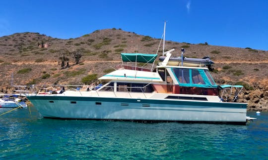 Charter this 60' HiStar Yacht Fisher to Catalina Island!
