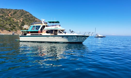 Charter this 60' HiStar Yacht Fisher to Catalina Island!