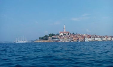 Family glas boat excursion for max. 11 people along the islands of Rovinj