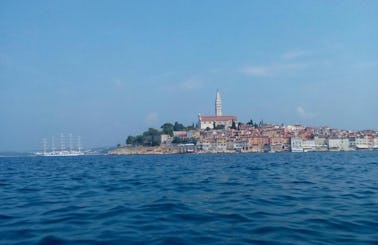 Family glas boat excursion for max. 11 people along the islands of Rovinj
