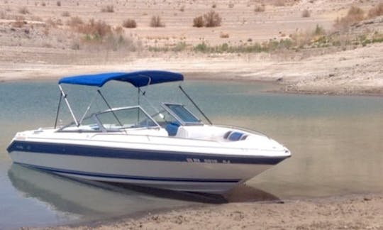 23' Sea Ray 210 Motor boat Rental