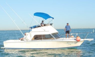 Phoenix Sport Fishing Yacht 31ft Twin Diesel Engine up to 6 Pax