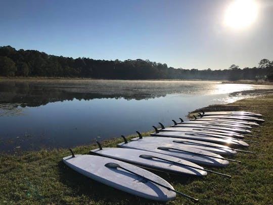 Memorable stand up paddle boarding adventure tour in Brisbane, Australia