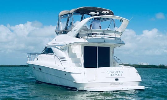 SeaRay 46 Flybridge Private yacht Cancun