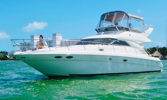 SeaRay 46 Flybridge Private yacht Cancun