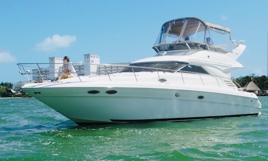 SeaRay 46 Flybridge Private yacht Cancun