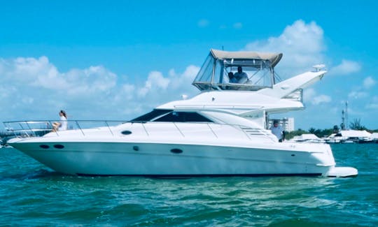 SeaRay 46 Flybridge Private yacht Cancun