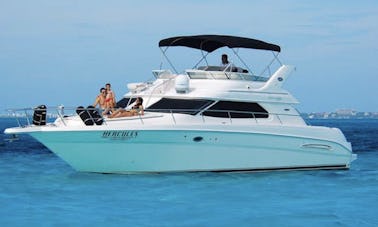 Private Yacht 46' Sea Ray for up to 15 people in Cancun