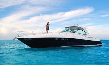 Beautiful Yacht 60ft Sundancer Power Mega Yacht Charter in Cancun up to 18 pax