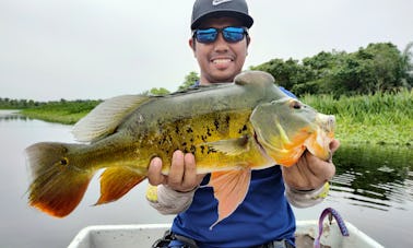 Guia de pesca de tucunaré em Kuala Lumpur com até 2 pessoas