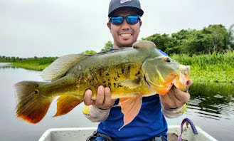 Peacock Bass Fishing Guide In Kuala Lumpur With Up To 2 People