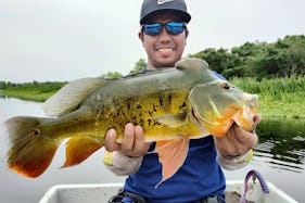 Peacock Bass Fishing Guide In Kuala Lumpur With Up To 2 People