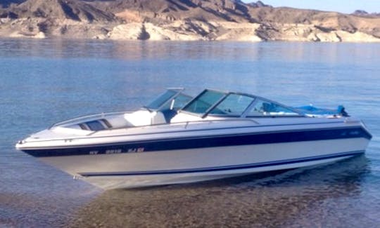 23' Sea Ray 210 Motor boat Rental