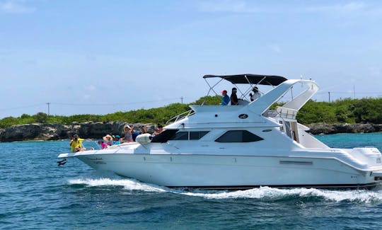 Private Yacht 46ft Cancun up to 15 pax